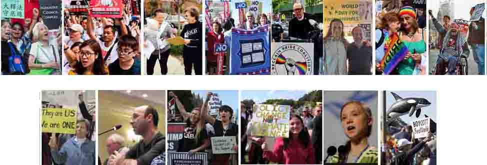 pictures of advocates show a crowd of protestors in Hong Kong, a woman with a shirt saying 'SOLD!' collecting signatures in a parking lot, a group in front of the US Capital with 'No Labels' banners, a black-and-white picture of a woman in a wheelchair in front of a bus, Stephan Sauerburger and Alex Hershaf in front of a sign saying 'world Day for Farm animals,' two women in front of a crowd smiling at eachother, holding a rainbow banner saying 'Pride.' a man in a wheelchair moving with a crowd holding signs, he is grinning triumphantly and raising his fist, a woman in a crowd holding up a sign 'They are us, We are One,' a man giving testimony to a legislature, a crowd protesting animal lab research, a young girl in a crowd smiles and holds a sign 'Policy change, not climate change'.